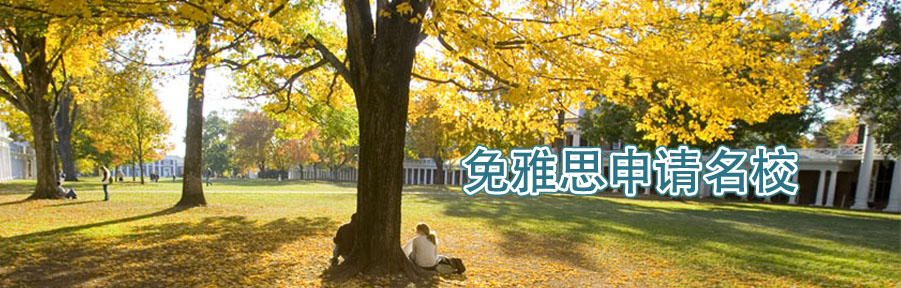 首页轮换大图1